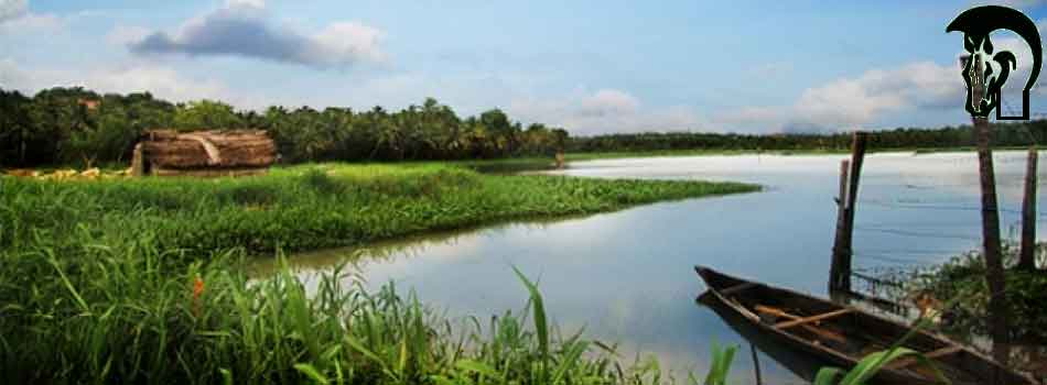 "You can put a caption for your image right here"