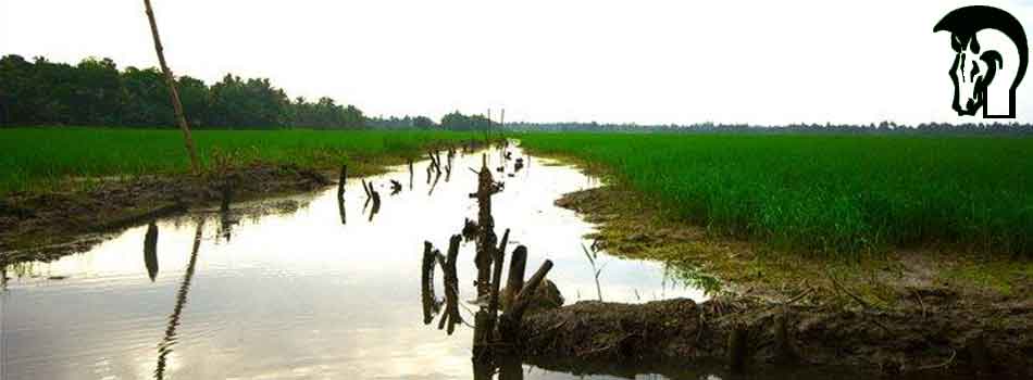 "You can put a description of the image here if you like, or anything else if you want."